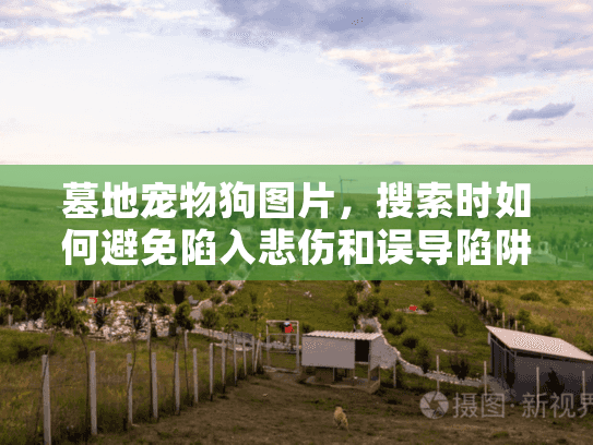 墓地宠物狗图片，搜索时如何避免陷入悲伤和误导陷阱？