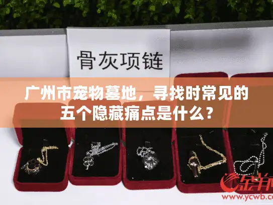 广州市宠物墓地,寻找时常见的五个隐藏痛点是什么? 广州市宠物墓地,寻找时常见的五个隐藏痛点是什么?