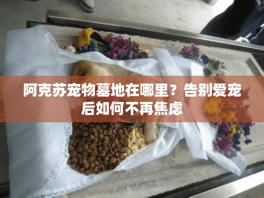 阿克苏宠物墓地在哪里？告别爱宠后如何不再焦虑