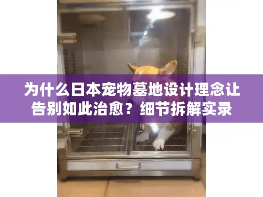 为什么日本宠物墓地设计理念让告别如此治愈？细节拆解实录