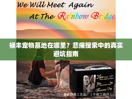 禄丰宠物墓地在哪里?悲痛搜索中的真实避坑指南 禄丰宠物墓地在哪里?悲痛搜索中的真实避坑指南