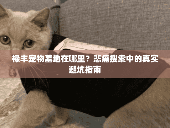 禄丰宠物墓地在哪里?悲痛搜索中的真实避坑指南 禄丰宠物墓地在哪里?悲痛搜索中的真实避坑指南