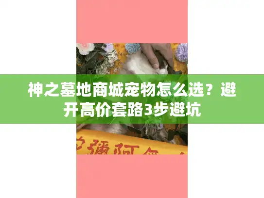 神之墓地商城宠物怎么选?避开高价套路3步避坑 神之墓地商城宠物怎么选?避开高价套路3步避坑