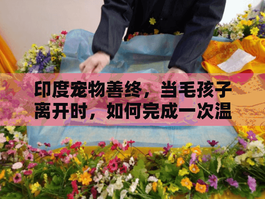 印度宠物善终,当毛孩子离开时,如何完成一次温暖的告别仪式? 印度宠物善终,当毛孩子离开时,如何完成一次温暖的告别仪式?