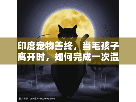 印度宠物善终,当毛孩子离开时,如何完成一次温暖的告别仪式? 印度宠物善终,当毛孩子离开时,如何完成一次温暖的告别仪式?