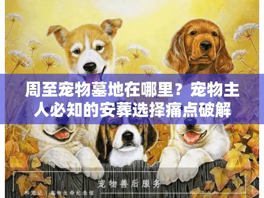 周至宠物墓地在哪里？宠物主人必知的安葬选择痛点破解