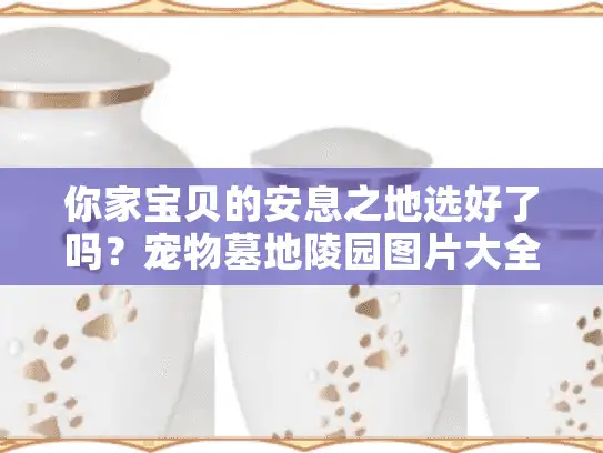 你家宝贝的安息之地选好了吗？宠物墓地陵园图片大全帮你避坑