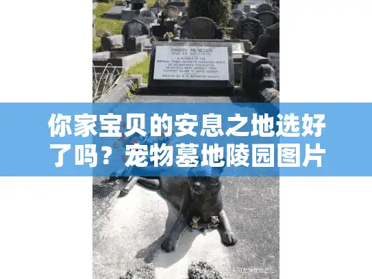 你家宝贝的安息之地选好了吗？宠物墓地陵园图片大全帮你避坑