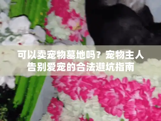 可以卖宠物墓地吗？宠物主人告别爱宠的合法避坑指南