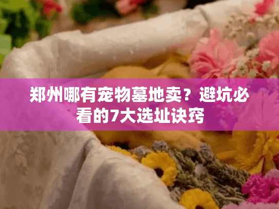 郑州哪有宠物墓地卖？避坑必看的7大选址诀窍