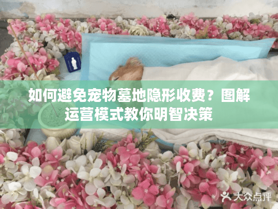 如何避免宠物墓地隐形收费？图解运营模式教你明智决策