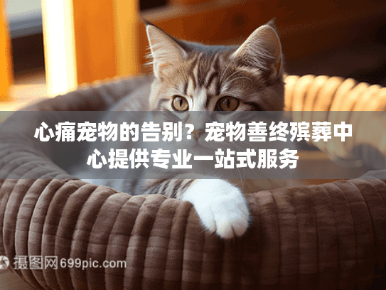 心痛宠物的告别？宠物善终殡葬中心提供专业一站式服务