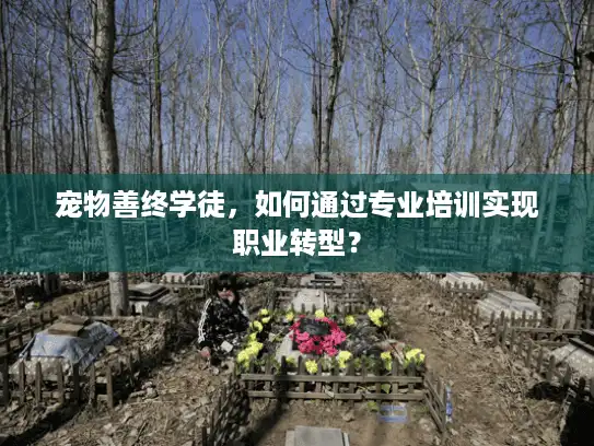 宠物善终学徒，如何通过专业培训实现职业转型？
