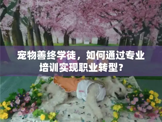 宠物善终学徒，如何通过专业培训实现职业转型？