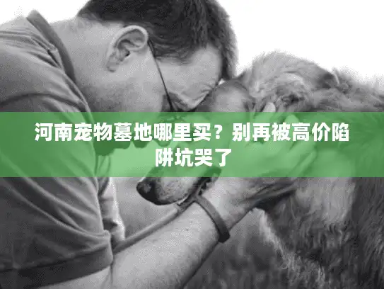 河南宠物墓地哪里买？别再被高价陷阱坑哭了