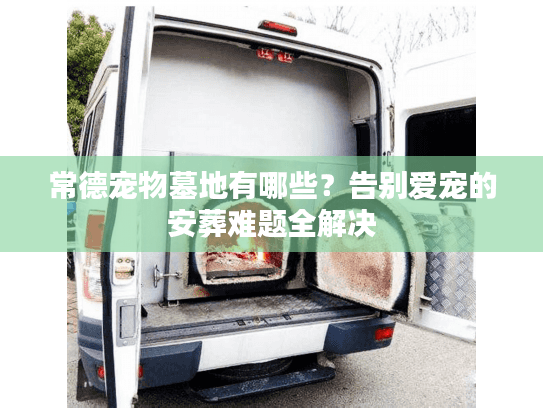 常德宠物墓地有哪些？告别爱宠的安葬难题全解决