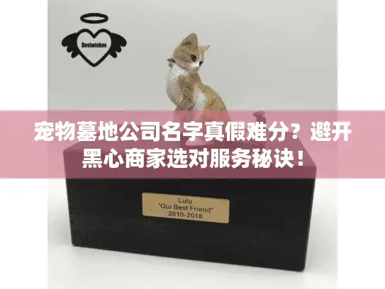宠物墓地公司名字真假难分？避开黑心商家选对服务秘诀！
