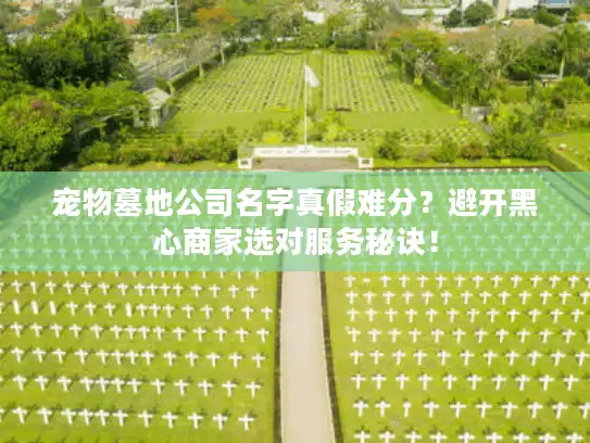 宠物墓地公司名字真假难分？避开黑心商家选对服务秘诀！
