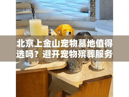 北京上金山宠物墓地值得选吗？避开宠物殡葬服务5大隐藏风险