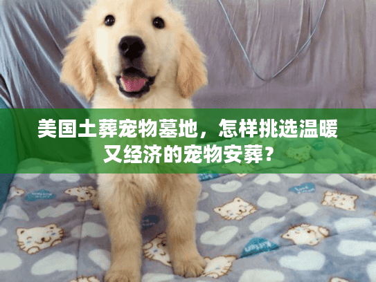美国土葬宠物墓地，怎样挑选温暖又经济的宠物安葬？