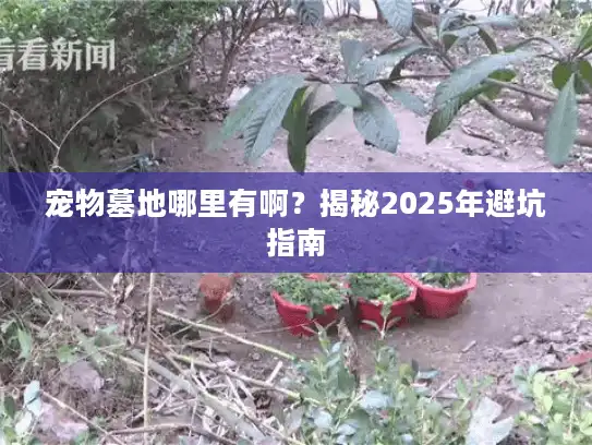 宠物墓地哪里有啊？揭秘2025年避坑指南