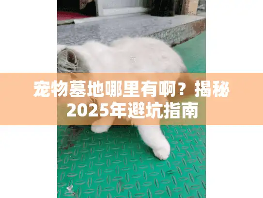 宠物墓地哪里有啊？揭秘2025年避坑指南