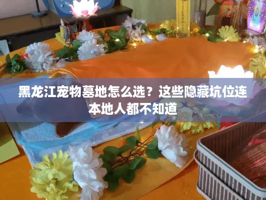 黑龙江宠物墓地怎么选?这些隐藏坑位连本地人都不知道 黑龙江宠物墓地怎么选?这些隐藏坑位连本地人都不知道
