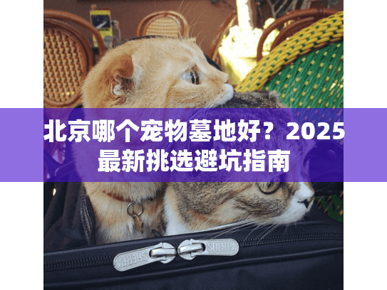 北京哪个宠物墓地好?2025最新挑选避坑指南 北京哪个宠物墓地好?2025最新挑选避坑指南