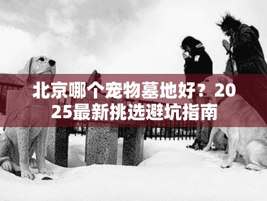 北京哪个宠物墓地好?2025最新挑选避坑指南 北京哪个宠物墓地好?2025最新挑选避坑指南