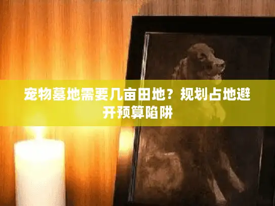 宠物墓地需要几亩田地？规划占地避开预算陷阱