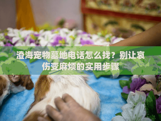 澄海宠物墓地电话怎么找?别让哀伤变麻烦的实用步骤 澄海宠物墓地电话怎么找?别让哀伤变麻烦的实用步骤