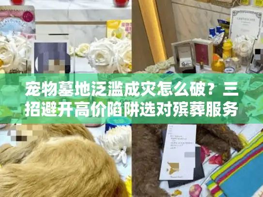 宠物墓地泛滥成灾怎么破？三招避开高价陷阱选对殡葬服务