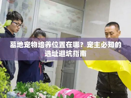 墓地宠物培养位置在哪？宠主必知的选址避坑指南
