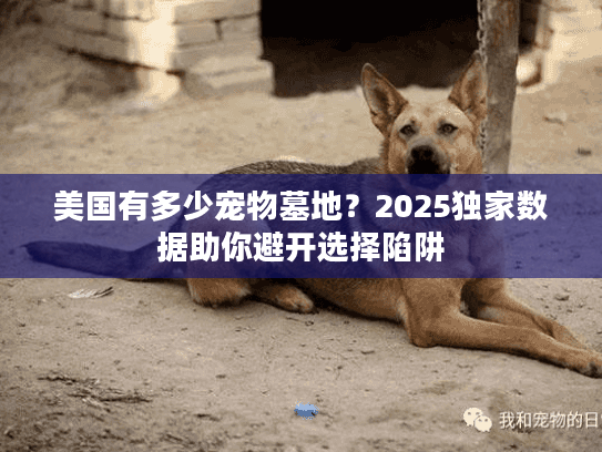 美国有多少宠物墓地?2025独家数据助你避开选择陷阱 美国有多少宠物墓地?2025独家数据助你避开选择陷阱