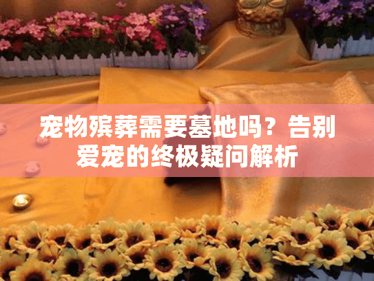 宠物殡葬需要墓地吗？告别爱宠的终极疑问解析