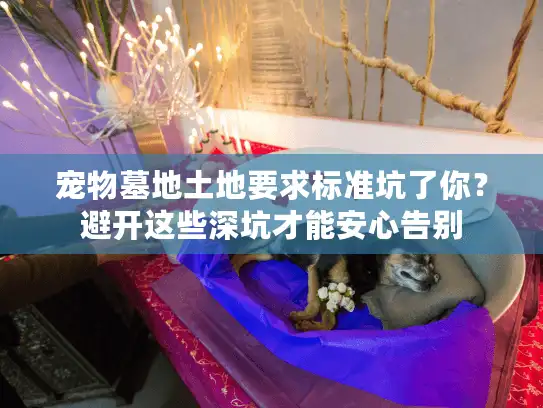 宠物墓地土地要求标准坑了你?避开这些深坑才能安心告别 宠物墓地土地要求标准坑了你?避开这些深坑才能安心告别