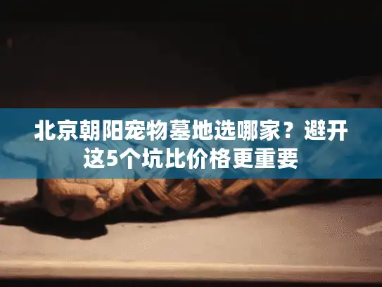 北京朝阳宠物墓地选哪家?避开这5个坑比价格更重要 北京朝阳宠物墓地选哪家?避开这5个坑比价格更重要