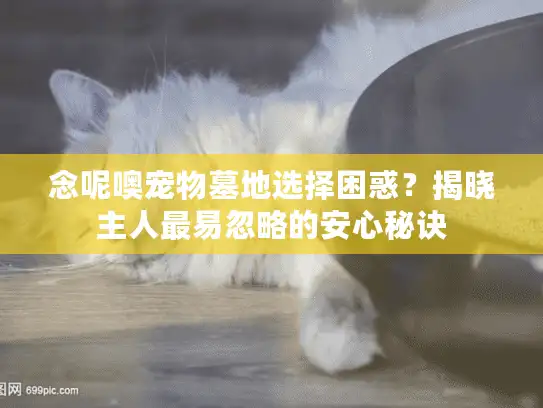 念呢噢宠物墓地选择困惑?揭晓主人最易忽略的安心秘诀 念呢噢宠物墓地选择困惑?揭晓主人最易忽略的安心秘诀