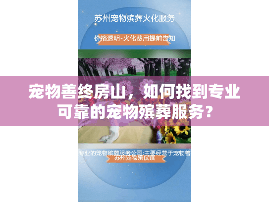 宠物善终房山,如何找到专业可靠的宠物殡葬服务? 宠物善终房山,如何找到专业可靠的宠物殡葬服务?