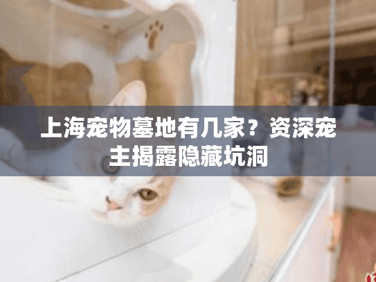 上海宠物墓地有几家?资深宠主揭露隐藏坑洞 上海宠物墓地有几家?资深宠主揭露隐藏坑洞