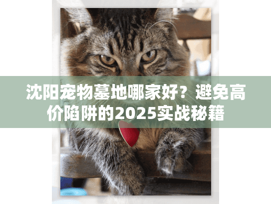 沈阳宠物墓地哪家好？避免高价陷阱的2025实战秘籍