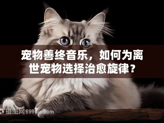 宠物善终音乐，如何为离世宠物选择治愈旋律？