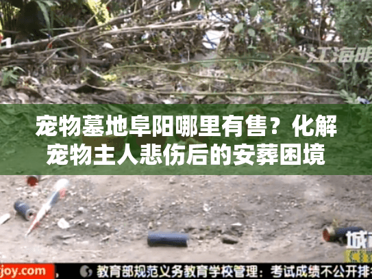 宠物墓地阜阳哪里有售？化解宠物主人悲伤后的安葬困境