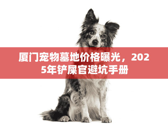厦门宠物墓地价格曝光，2025年铲屎官避坑手册