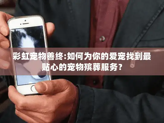 彩虹宠物善终:如何为你的爱宠找到最贴心的宠物殡葬服务？