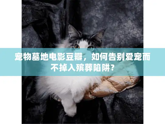 宠物墓地电影豆瓣，如何告别爱宠而不掉入殡葬陷阱？