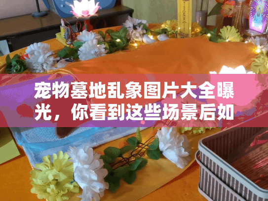 宠物墓地乱象图片大全曝光，你看到这些场景后如何快速筛选靠谱宠物殡葬服务？