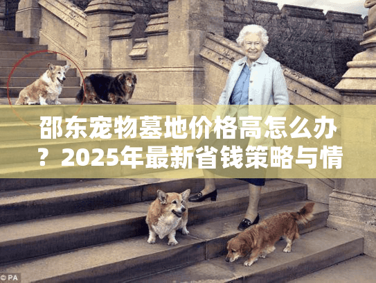 邵东宠物墓地价格高怎么办？2025年最新省钱策略与情感关怀指南