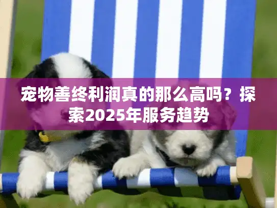 宠物善终利润真的那么高吗？探索2025年服务趋势