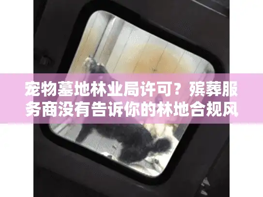 宠物墓地林业局许可？殡葬服务商没有告诉你的林地合规风险